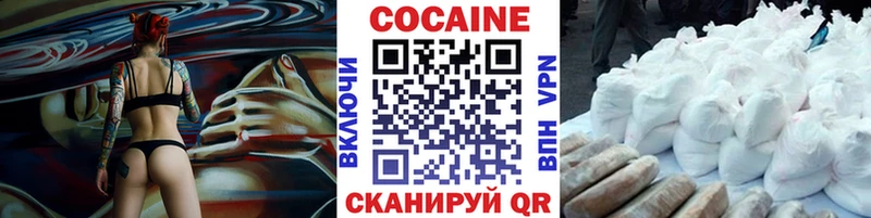 COCAIN Fish Scale  дарнет шоп  Козловка 