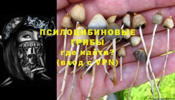 молекула духа Белоозёрский