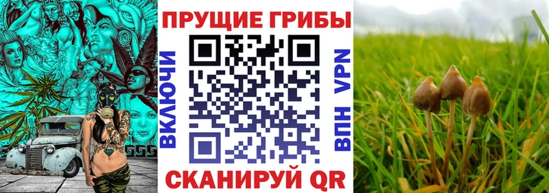 Псилоцибиновые грибы мухоморы  Козловка 